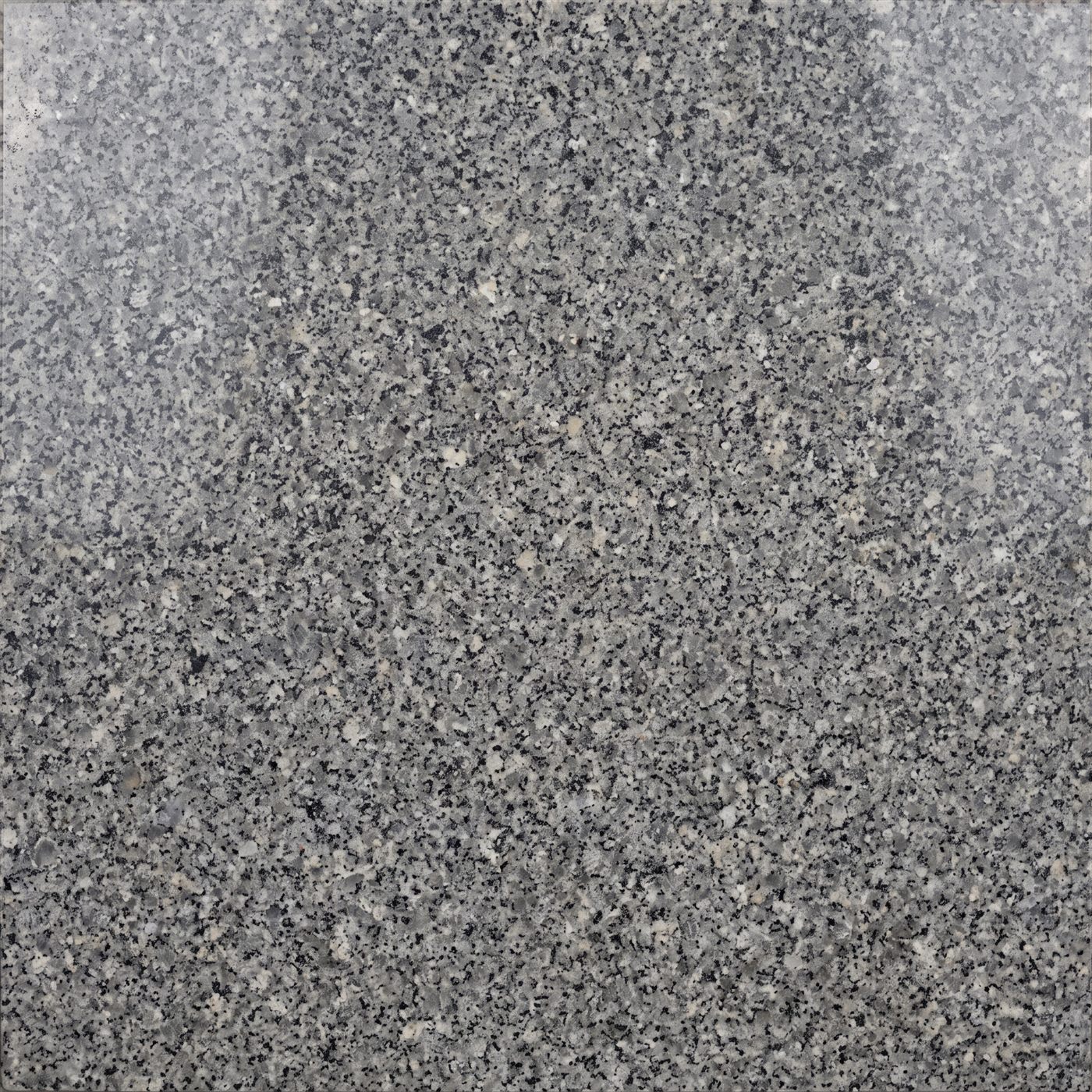 Textura de Granito Cinza Andorinha